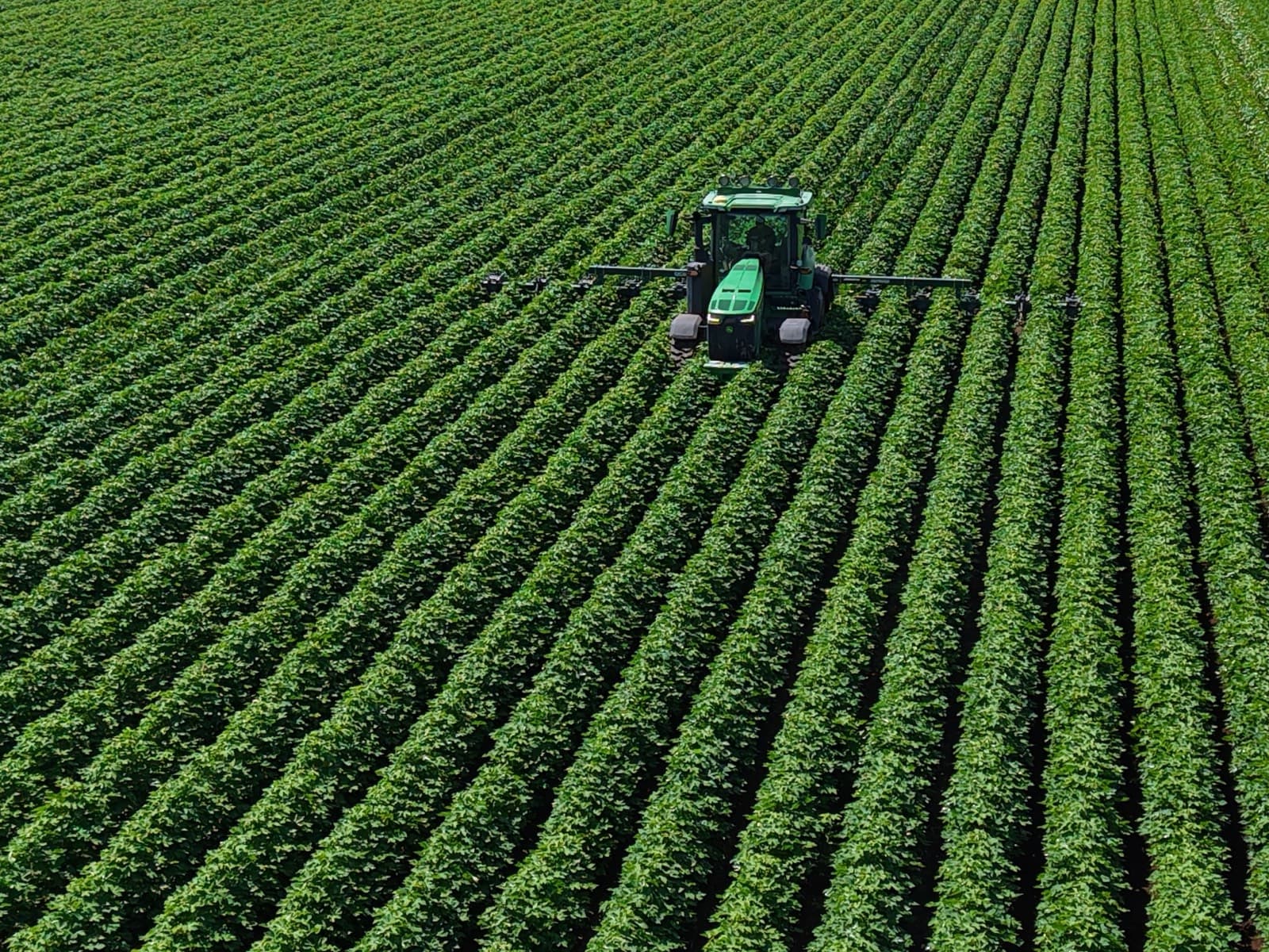 Aerial view of a sprayer working through a dense cotton crop